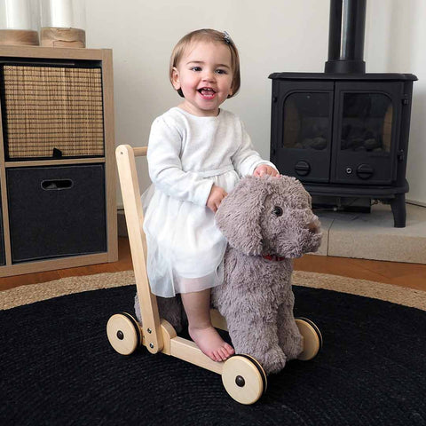 Little Bird Told Me - push along for children, infants and toddlers at Natural Baby Shower