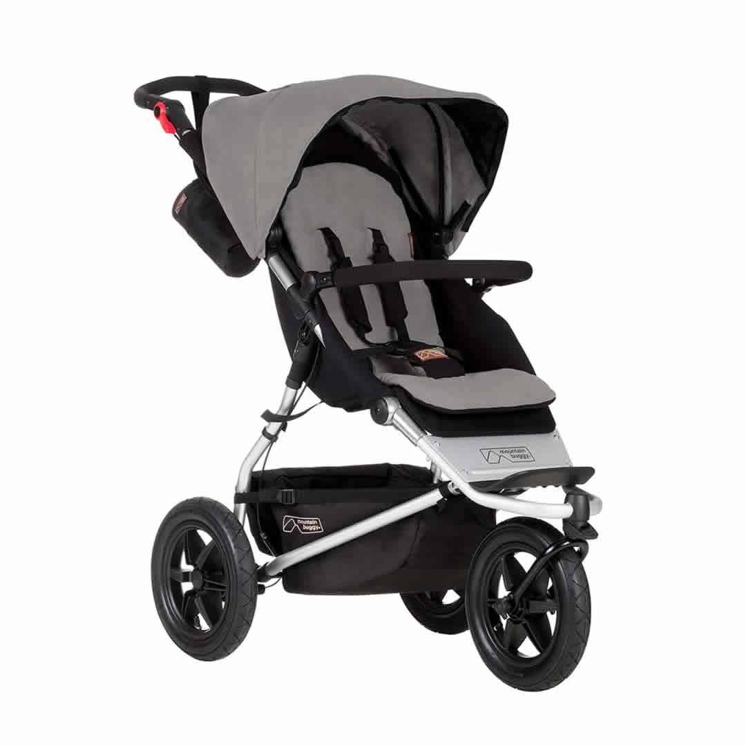 Mountain buggy silver 2025