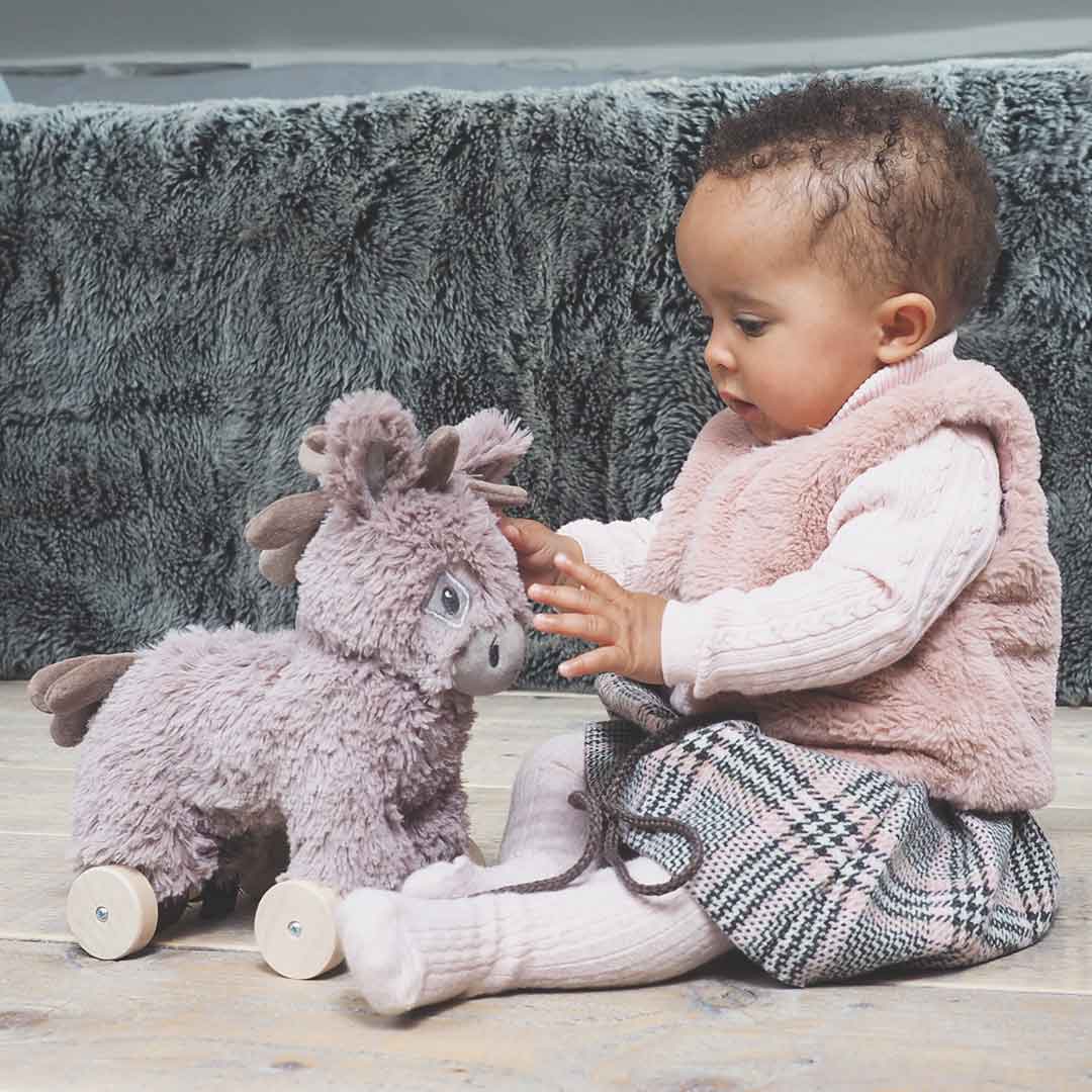 Little Bird Told Me - Pull-Along Donkey - Norbert (6m+)-Pull-Alongs- | Natural Baby Shower