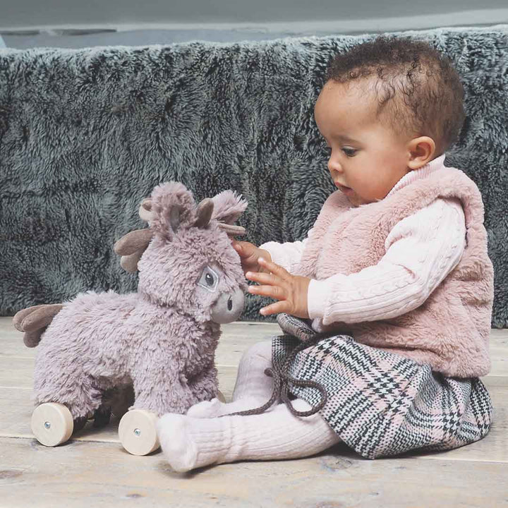 Little Bird Told Me - Pull-Along Donkey - Norbert (6m+)-Pull-Alongs- | Natural Baby Shower