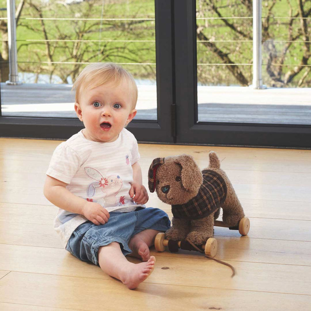 Little Bird Told Me - Pull-Along Pup - Percy (6m+)-Pull-Alongs- | Natural Baby Shower