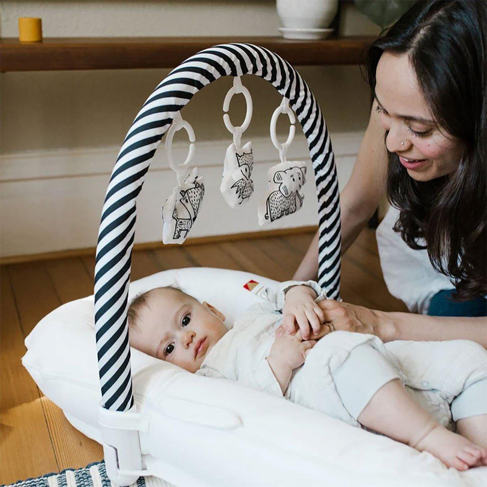 DockATot Toy Set - Cheeky Chums-Baby Nest Toy Bars-Cheeky Chums- | Natural Baby Shower