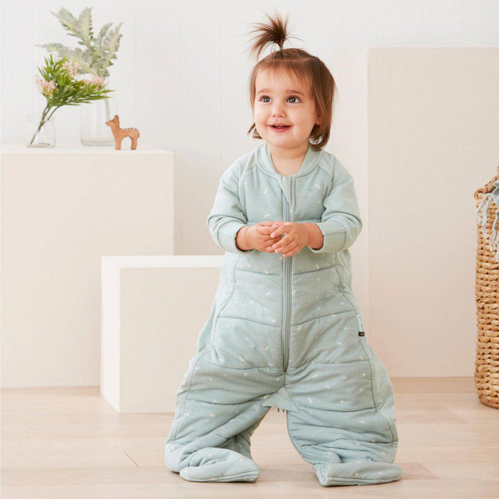 ergoPouch Sleep Suit Bag - Sage - TOG 2.5-Sleeping Bags-Sage-8-24m | Natural Baby Shower