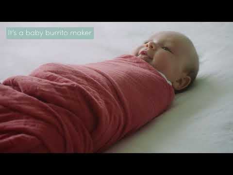 aden + anais Organic Muslin Swaddles - Earthly - 4 Pack
