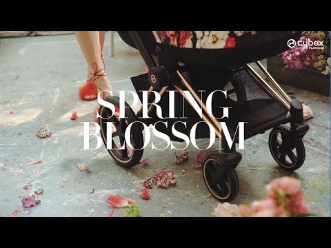 CYBEX Mios Lux Carrycot - Spring Blossom Dark