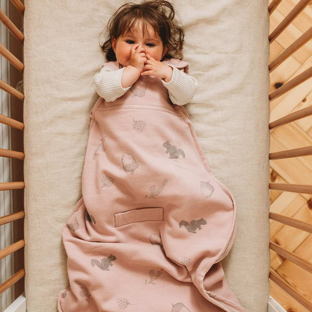 Merino Kids Go Go Sleeping Bag - Duvet Weight - Acorn - Misty Rose-Sleeping Bags-Misty Rose-3-24m | Natural Baby Shower