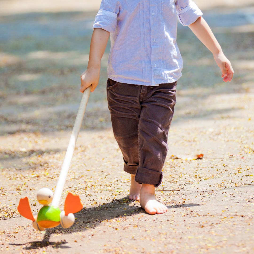 Plan toys push along duck hotsell